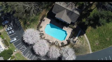 865 Bellevue Apartments, Nashville, TN