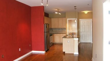 Condos for Rent in Nashville 1BR/1BA by Property Management in Nashville