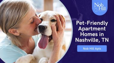 Ground Floor 1 Bedroom Apartment in Nashville, TN - V15