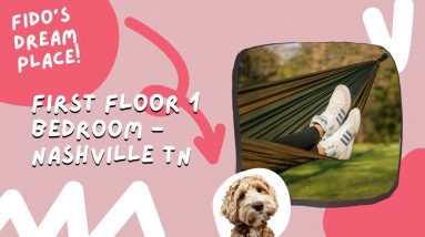 1 Bedroom Bottom Floor Apartment in Nashville, Tennessee - B04