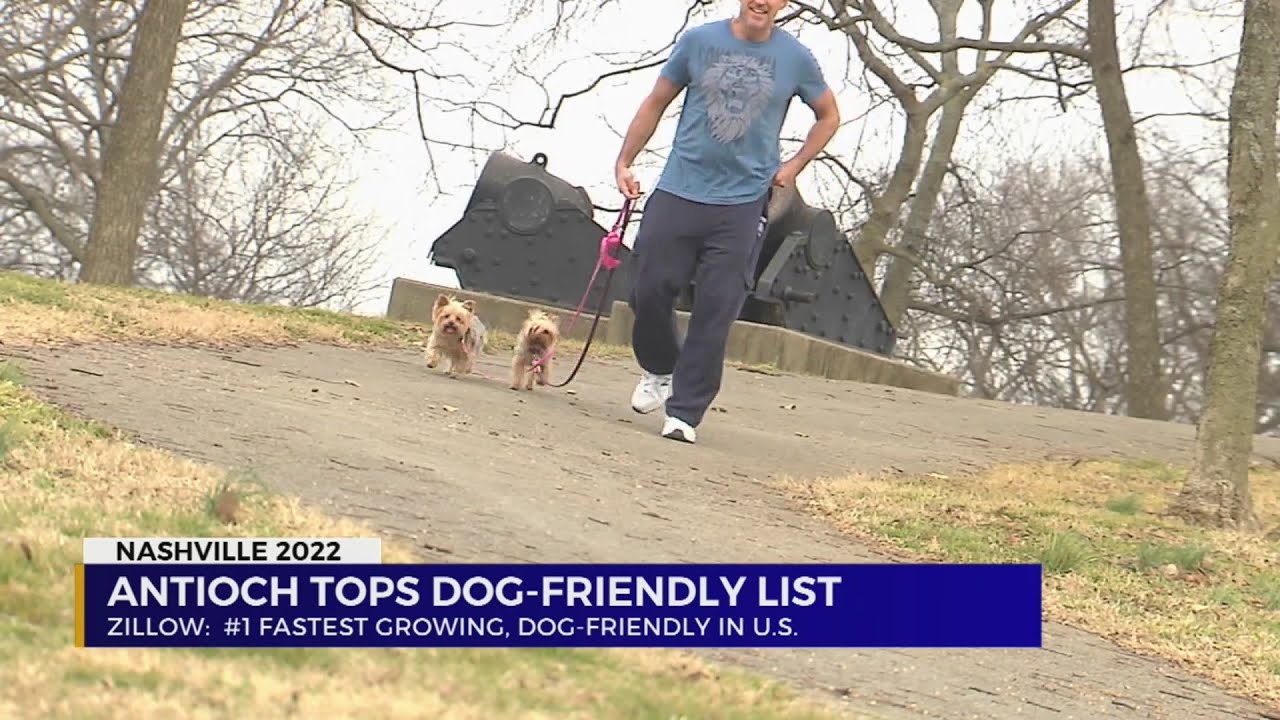Antioch Named No. 1 Fastestgrowing Petfriendly Community In The U.S.