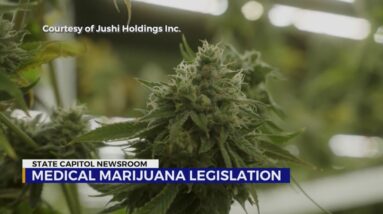 Medical marijuana legislation