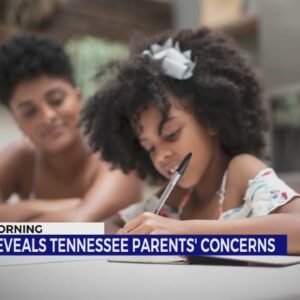 Poll reveals the top concerns for Tennessee parents