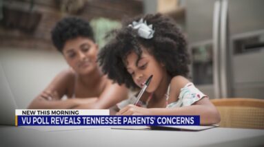 Poll reveals the top concerns for Tennessee parents