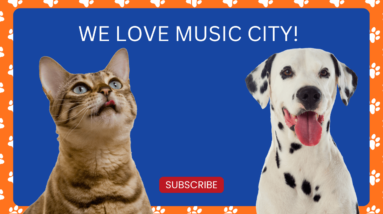 Pet-Friendly Apartments In Nashville