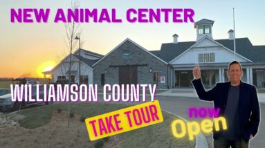 Dog and cat adoptions - Learn how to adopt dogs and cats in Nashville