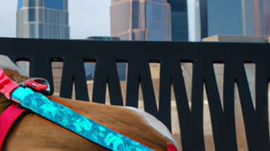 pet loving vacation havens in downtown nashville await